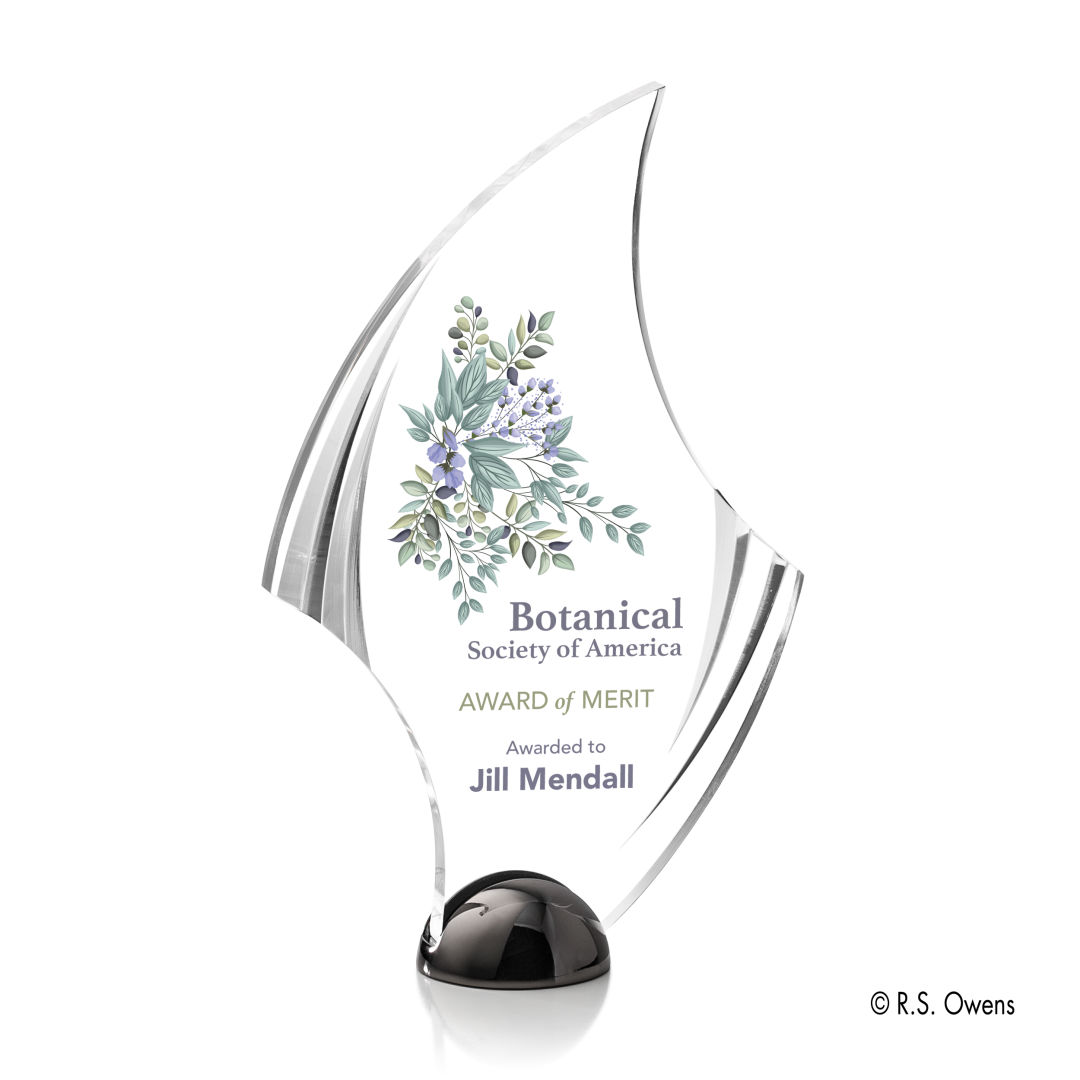 Flourish Hemisphere VividPrint™ Award 8
