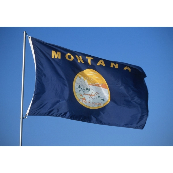 Montana Official Flag - ePoly 2