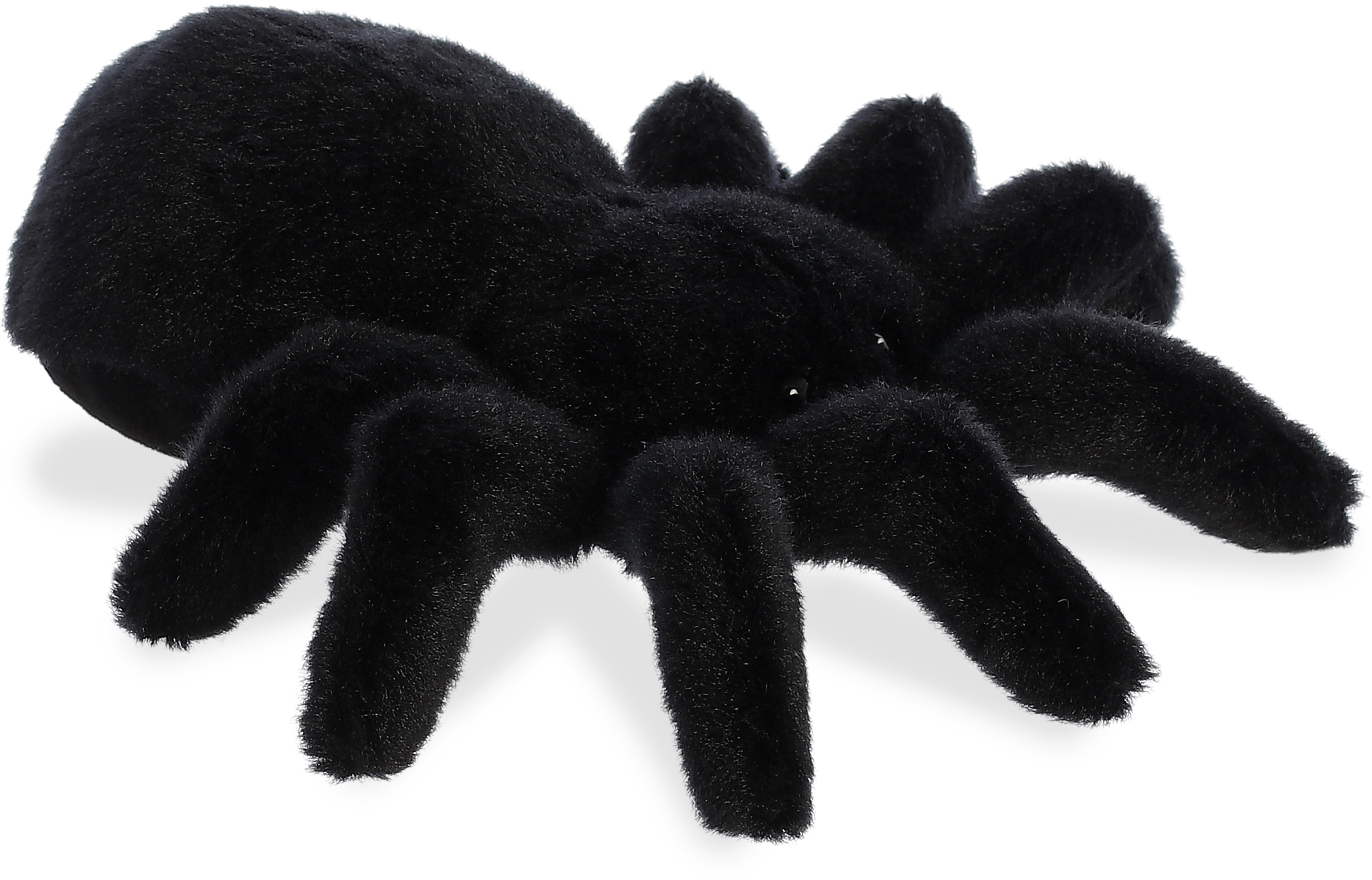 8" Tarantula 1