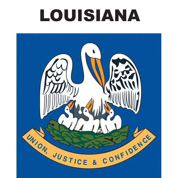 Mini Banner - Louisiana 2