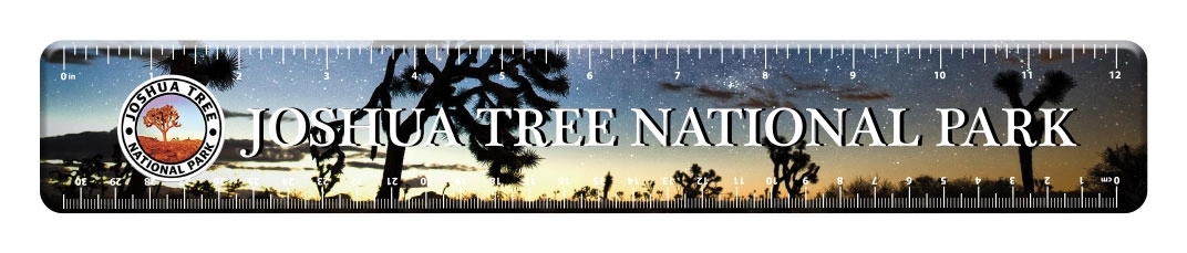 12 Inch Ruler Tag 5
