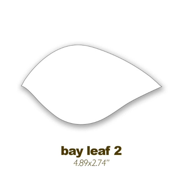 Seed Paper Printed Shapes, Extra Large