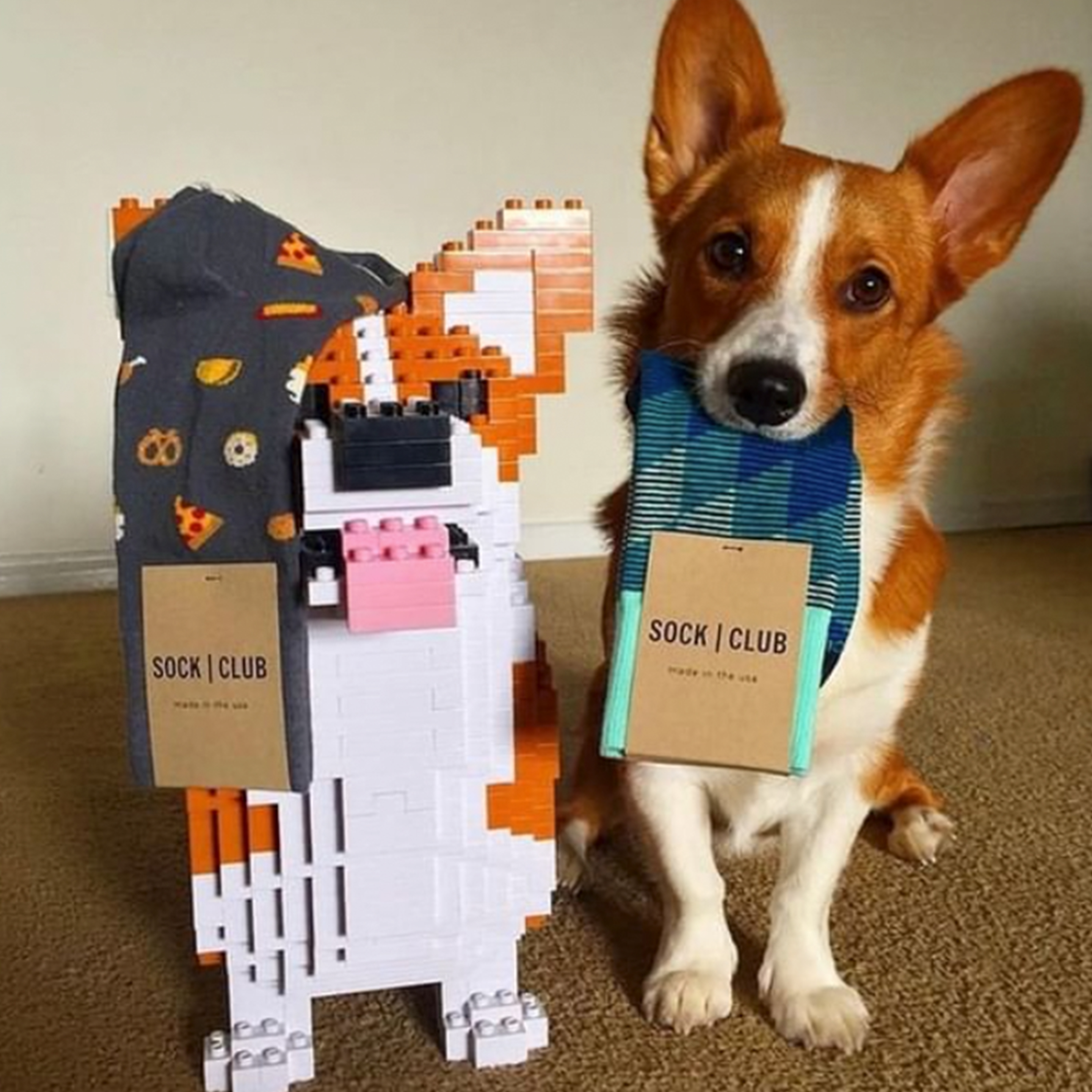 Crew Veterinarian Socks - Comfortable Support for Animal Caregivers - American Made 1