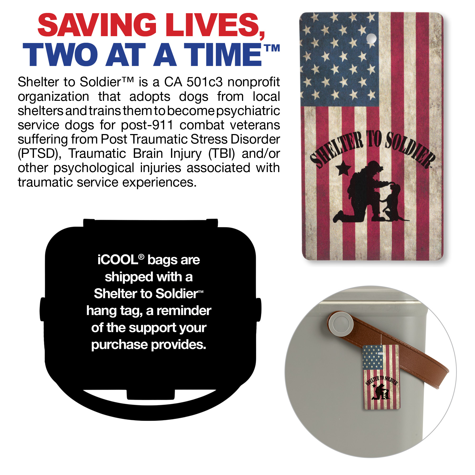 iCOOL Hale 18-Can, 10.5 Qt Hard Sided Cooler 23