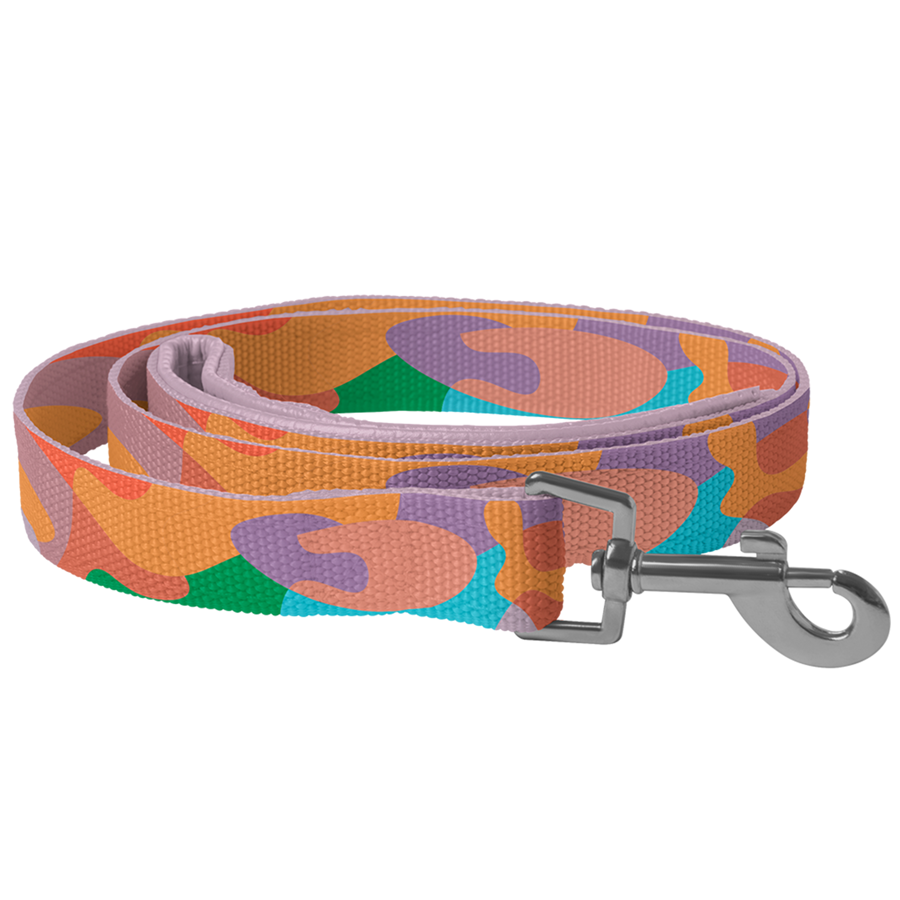 RPET Loop Handle Pet Leash with Snap Carabiner