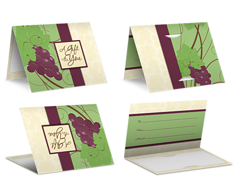 Pre-printed Plastic Card Carrier 2