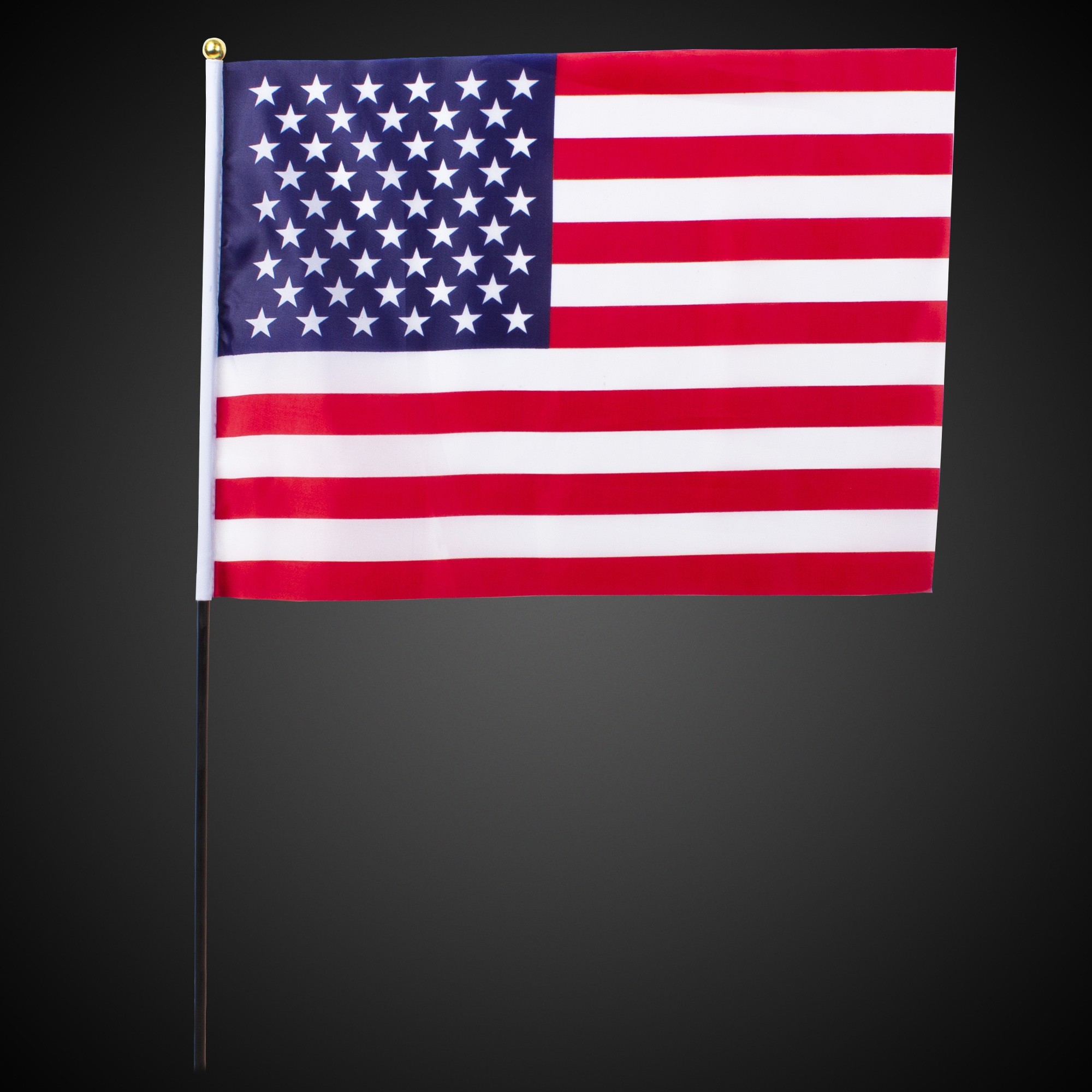 American Flag 2