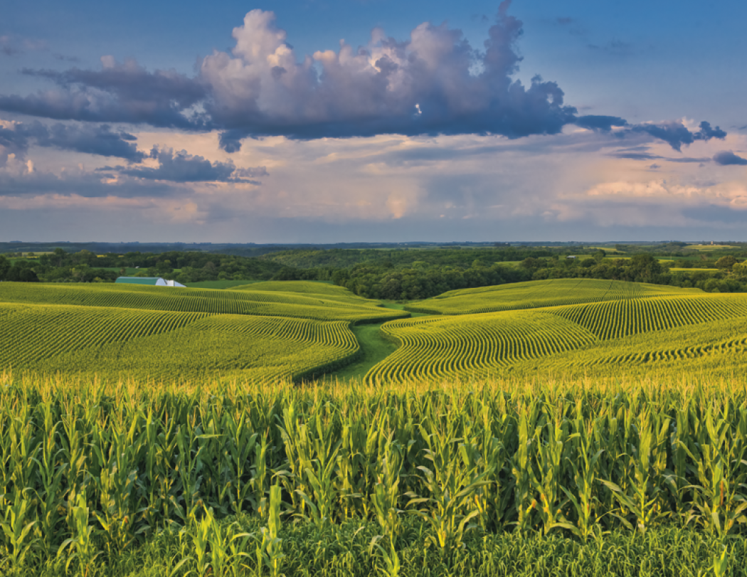 Triumph® Calendars Minnesota Calendar 32