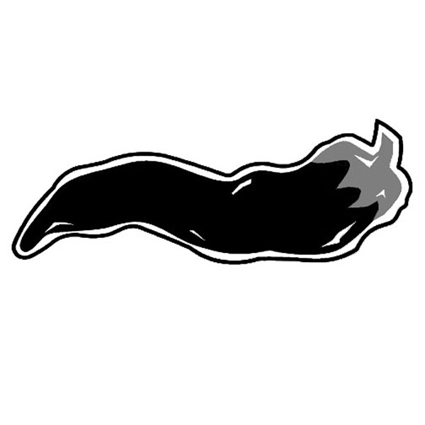 Chili Pepper Magnet - Full Color 2
