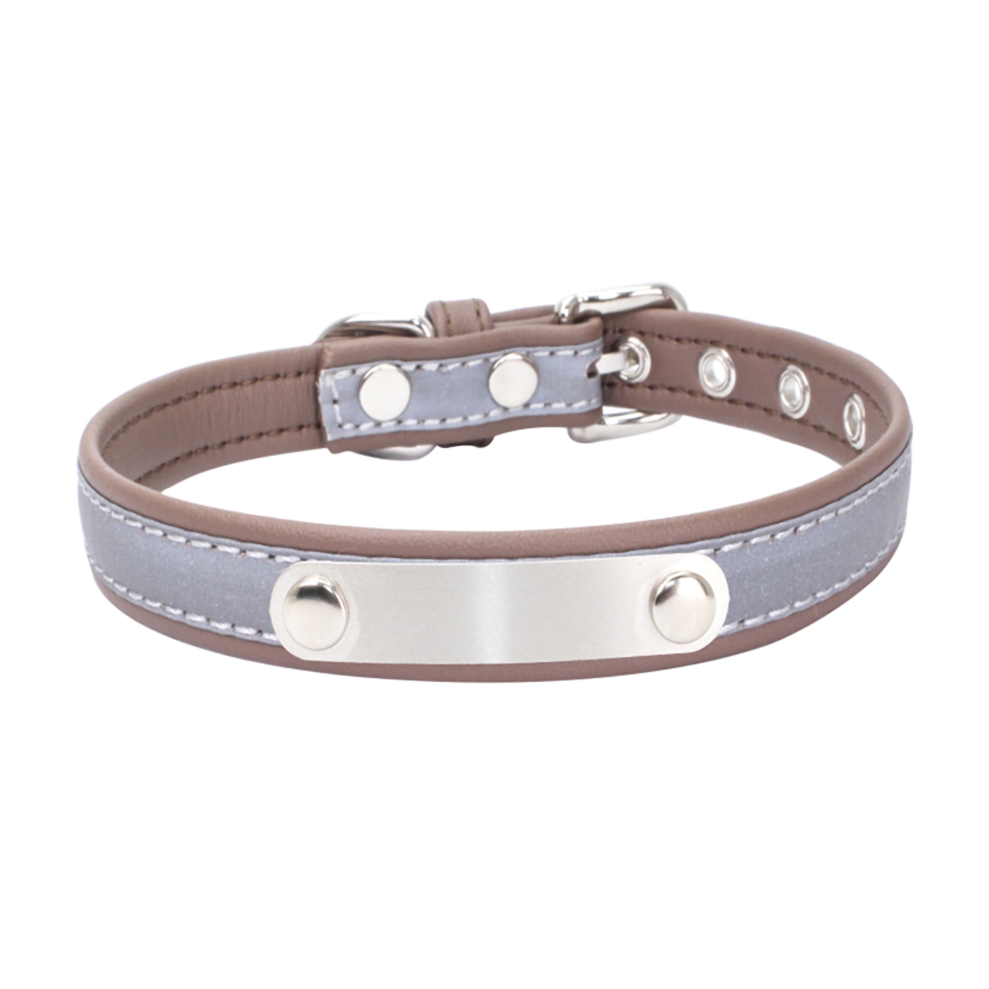 Medium Dog Collar 1