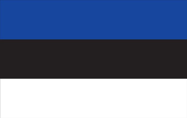 Estonia Flag - 3' x 5' - Nylon 2