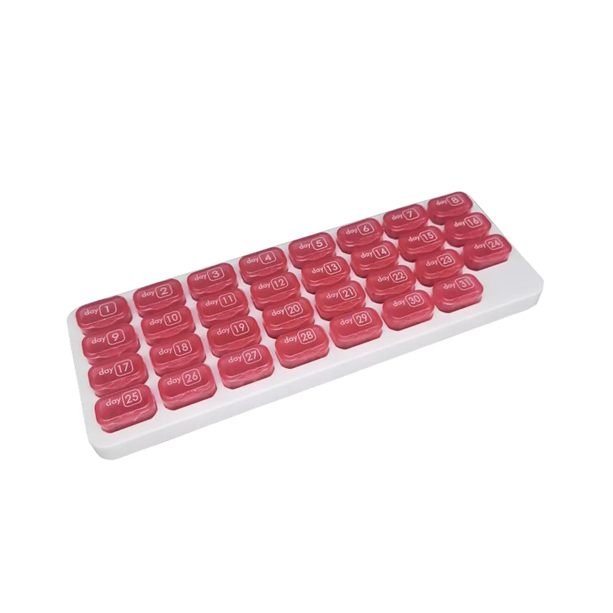 Monthly 31 Grid Pill Box 6