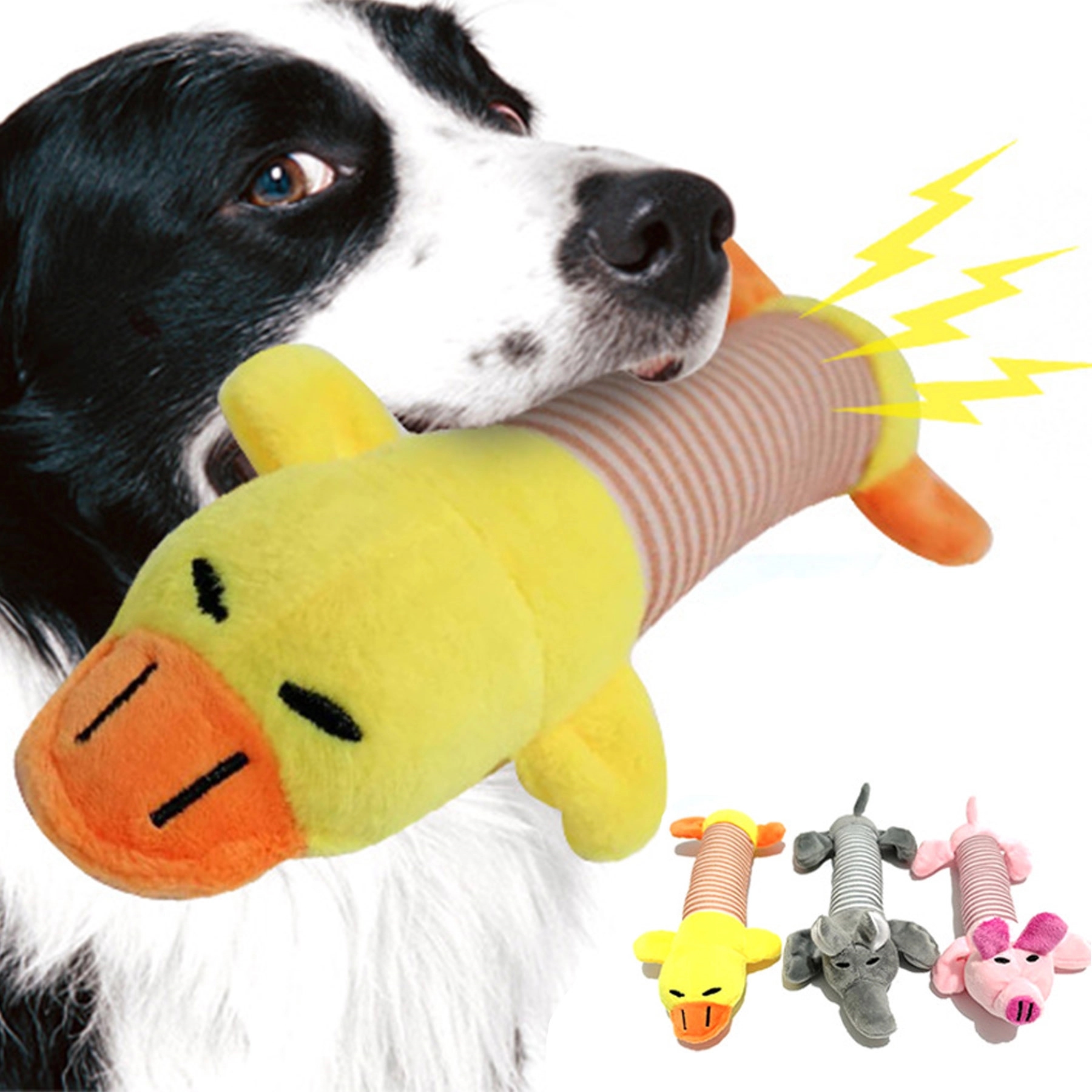 Funny Dog Squeaky  Chew Toys 1