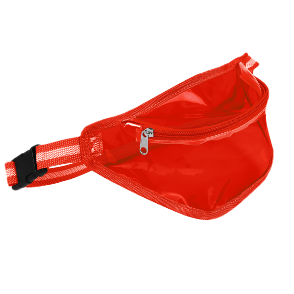 Ann Arbor Transparent Waist Pack 36