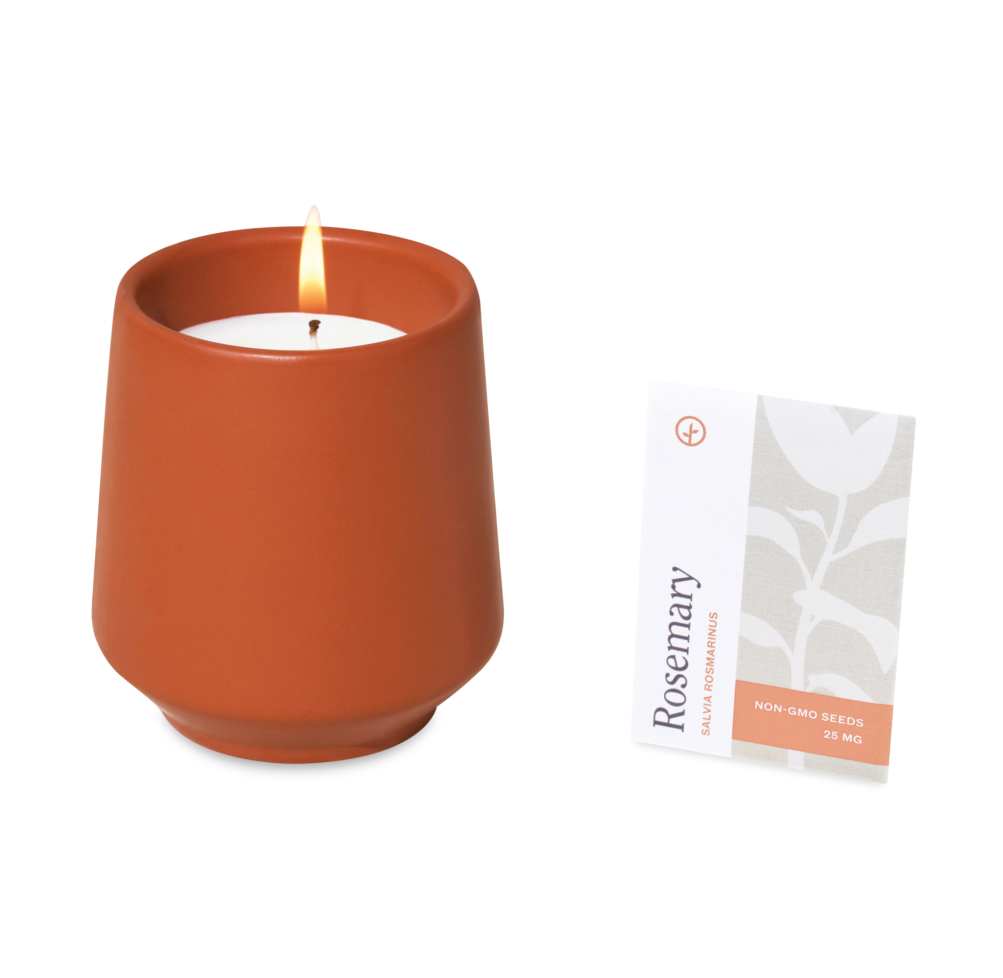 Modern Sprout® Rooted Candle 45