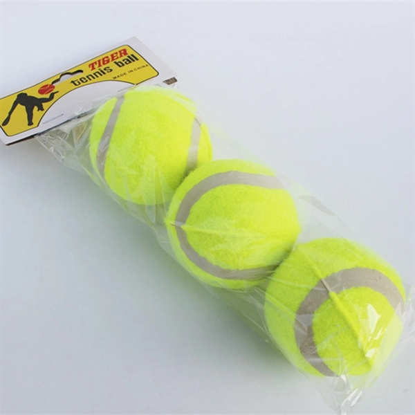 Pet Training Tennis Ball 2