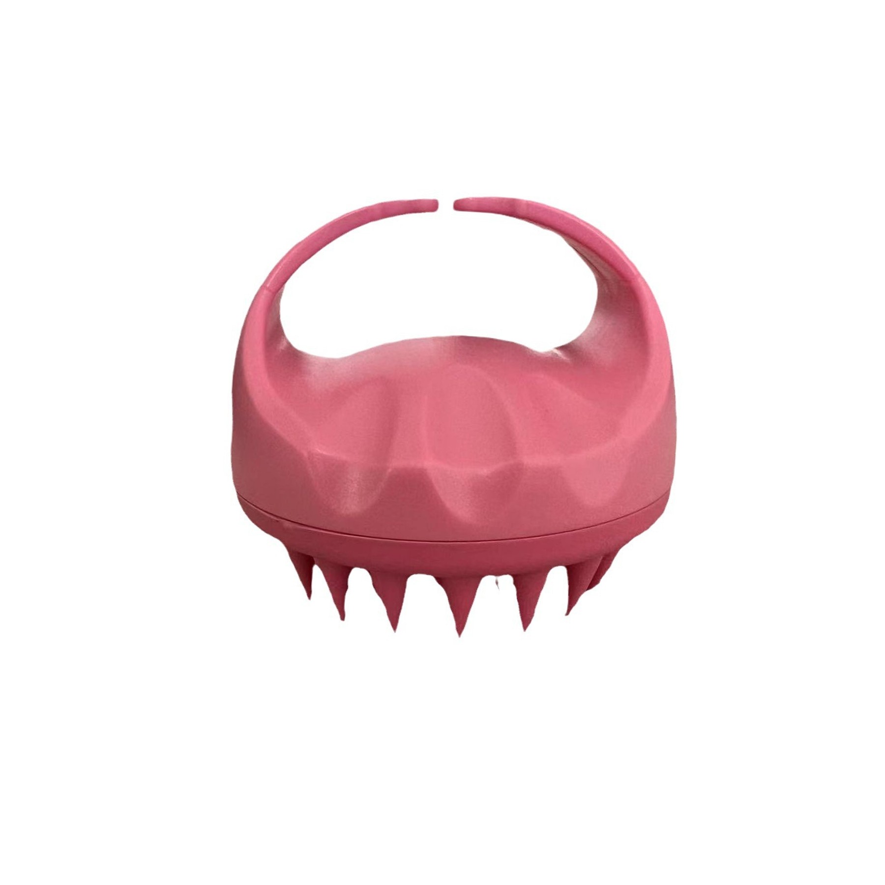 Shampoo Brush 2