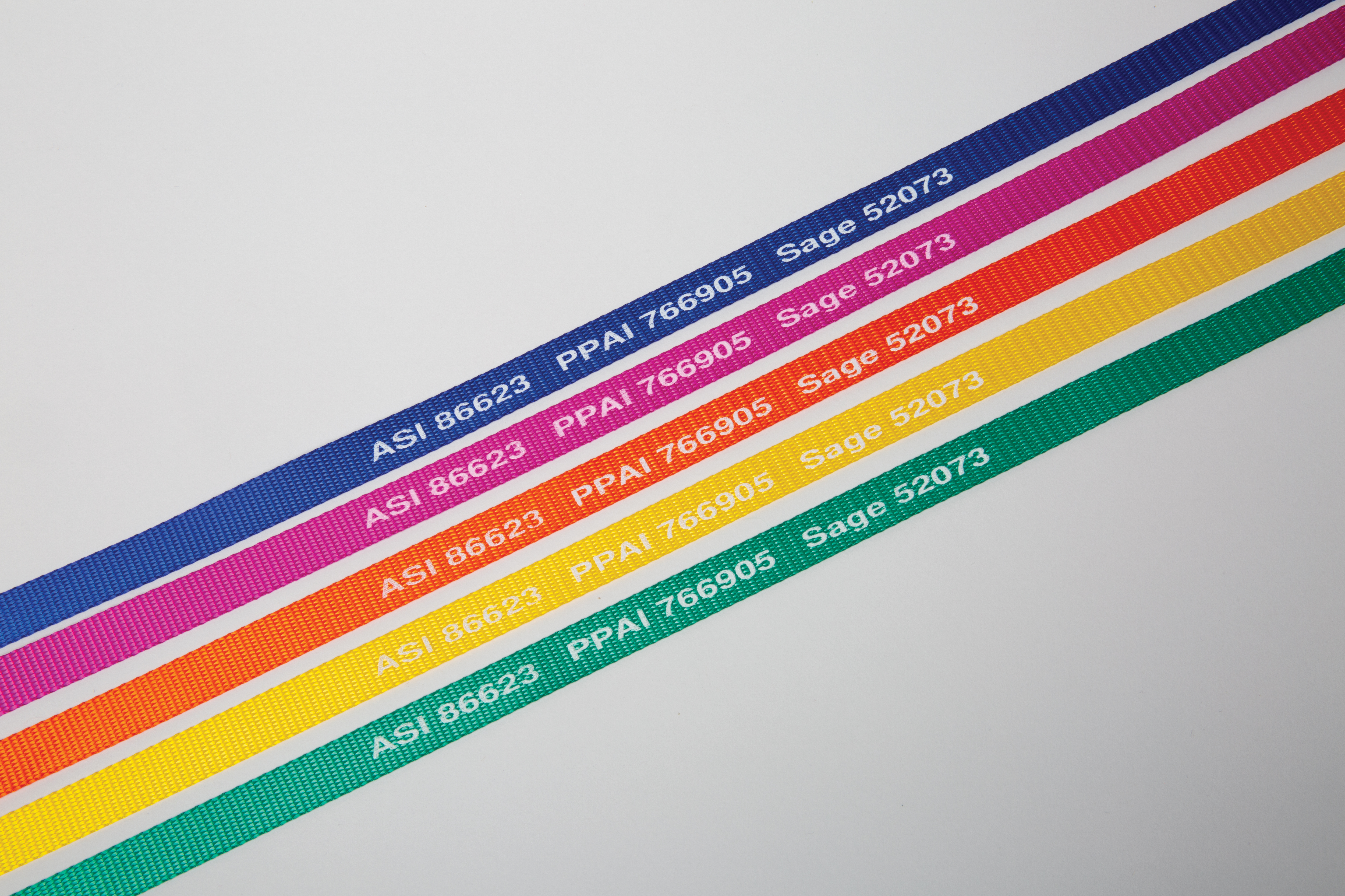 4' Neon Bright Pet Slip Leads 2-sided