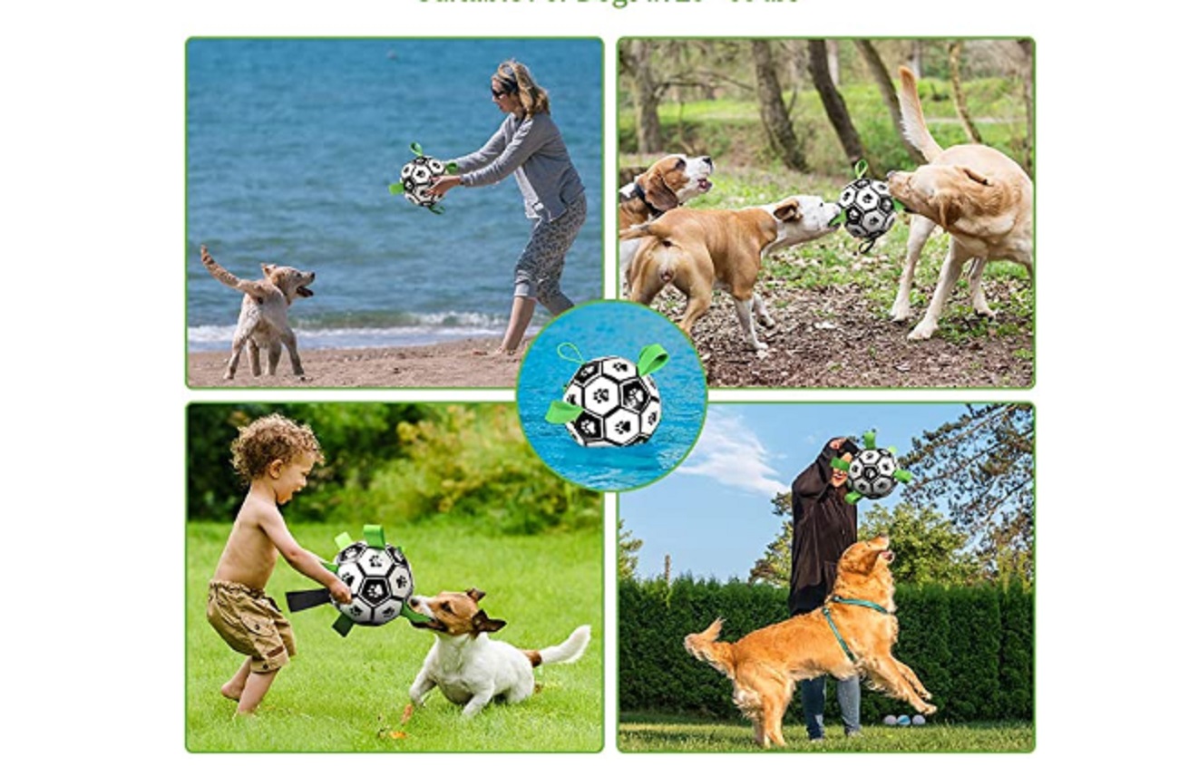 Interactive Dog Toys 3