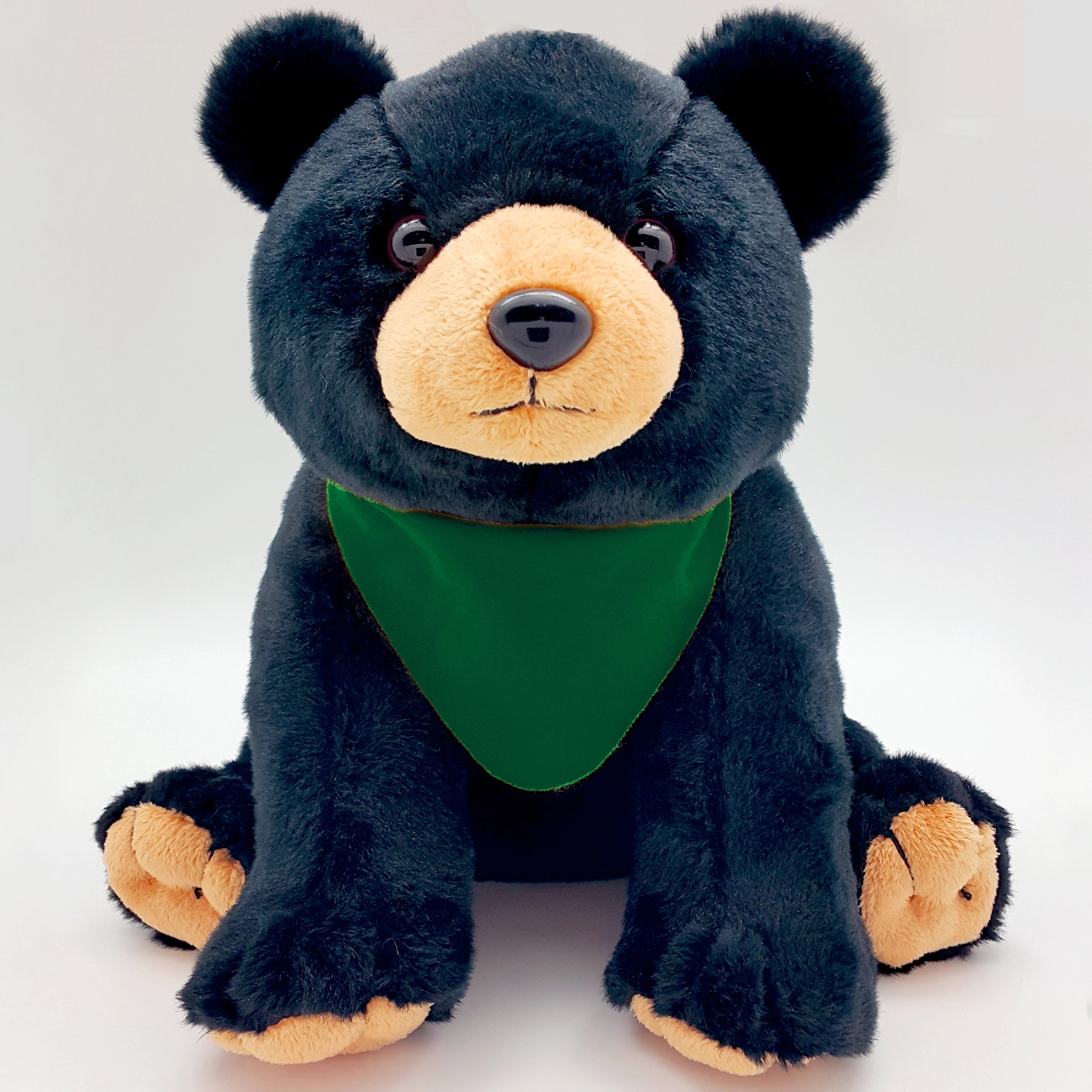 10" Black Bear 7
