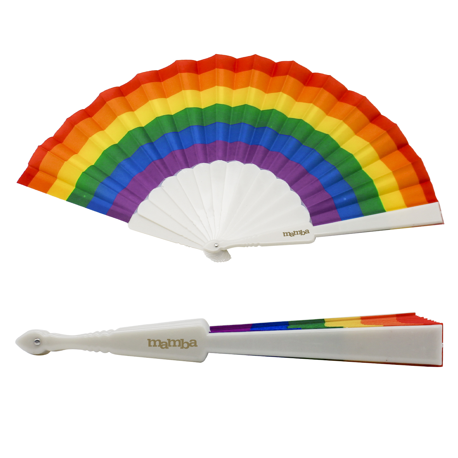 Rainbow Accordion Fan 5
