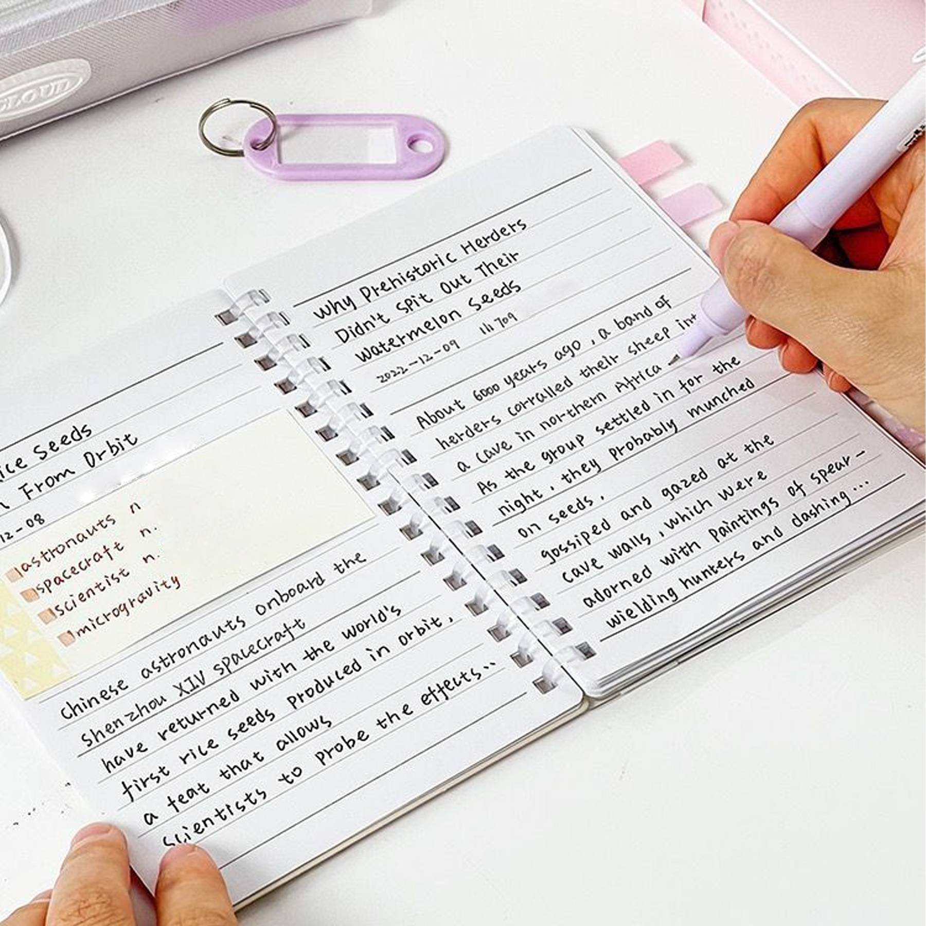 Journal Notebook with post notes 7