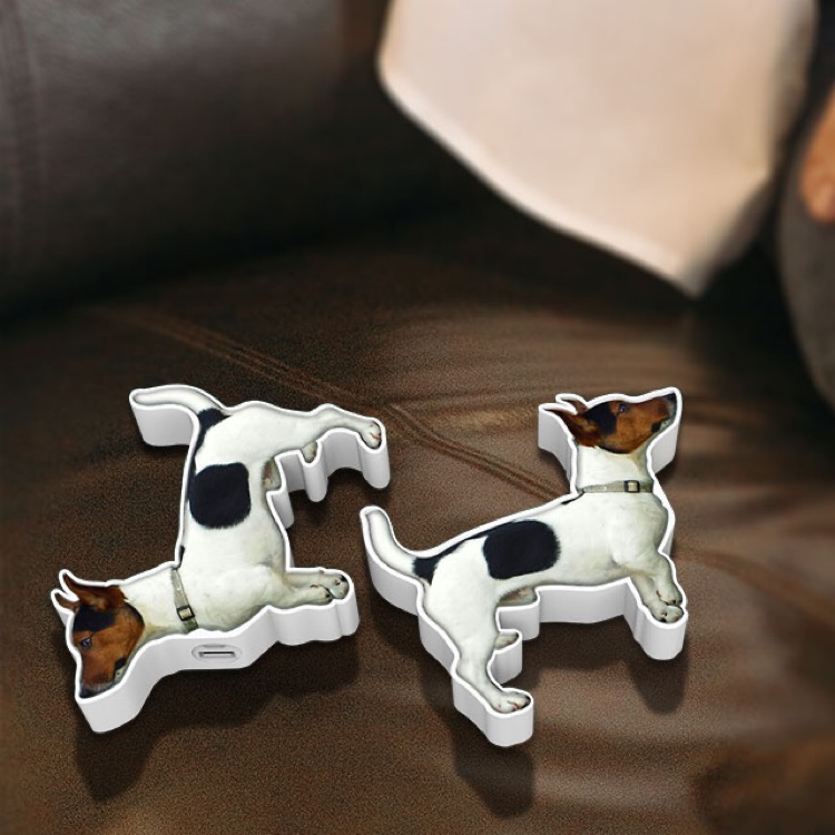 Custom Terrier Charger 4