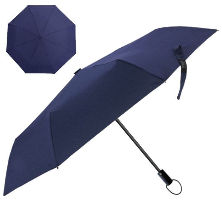 Windsor Umbrella 2