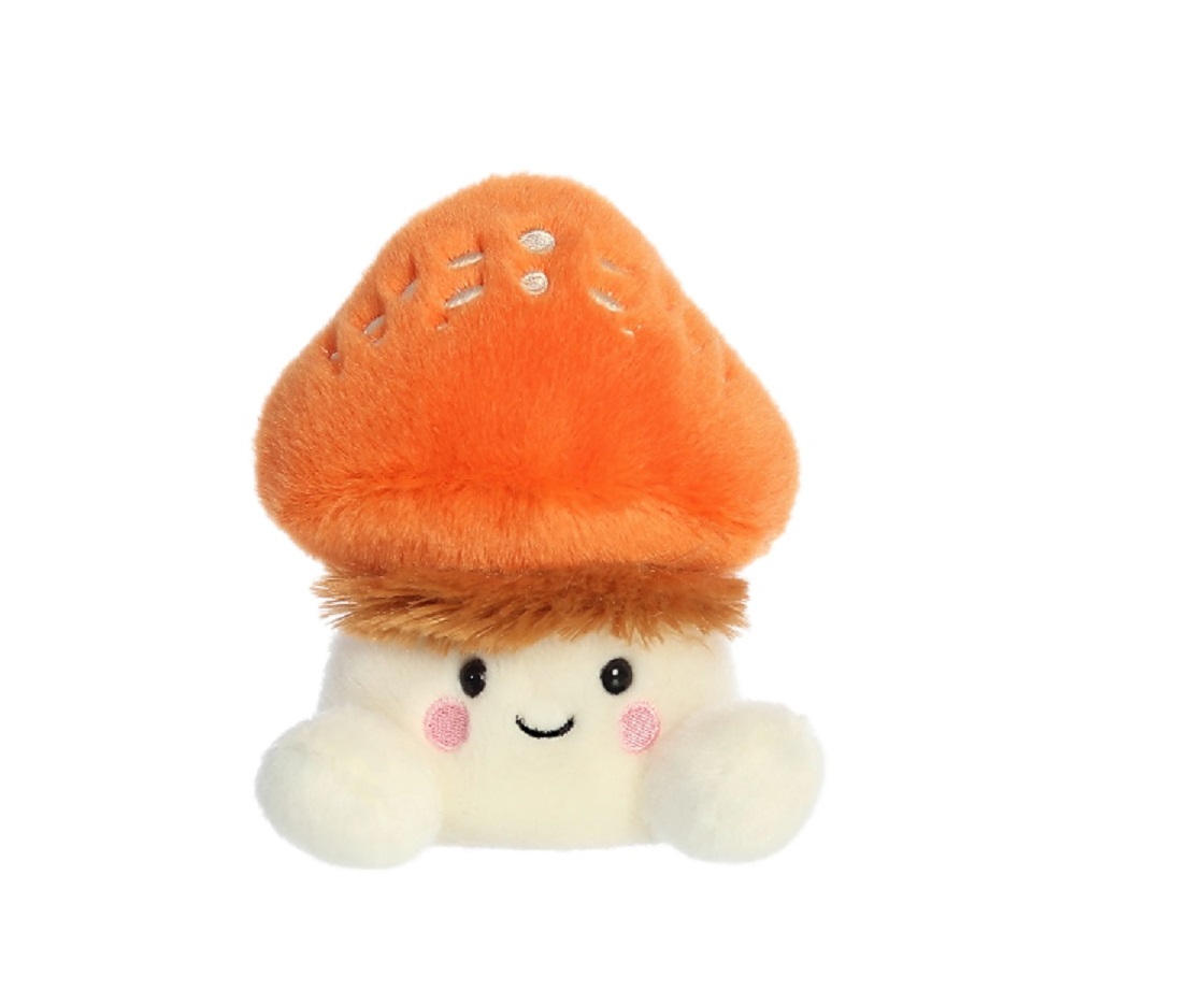5" Bean Bag Fab Mushroom 2