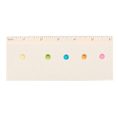 Recycled Milk Carton Sticky Notes & Ruler Pad 38