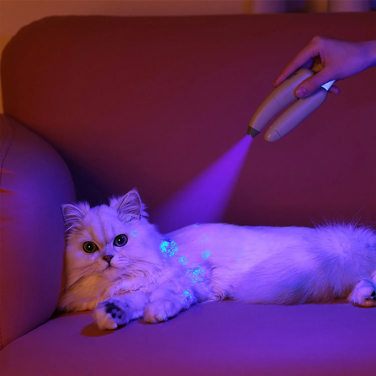 Banana Pet Nail Clippers Led Blood Line 4