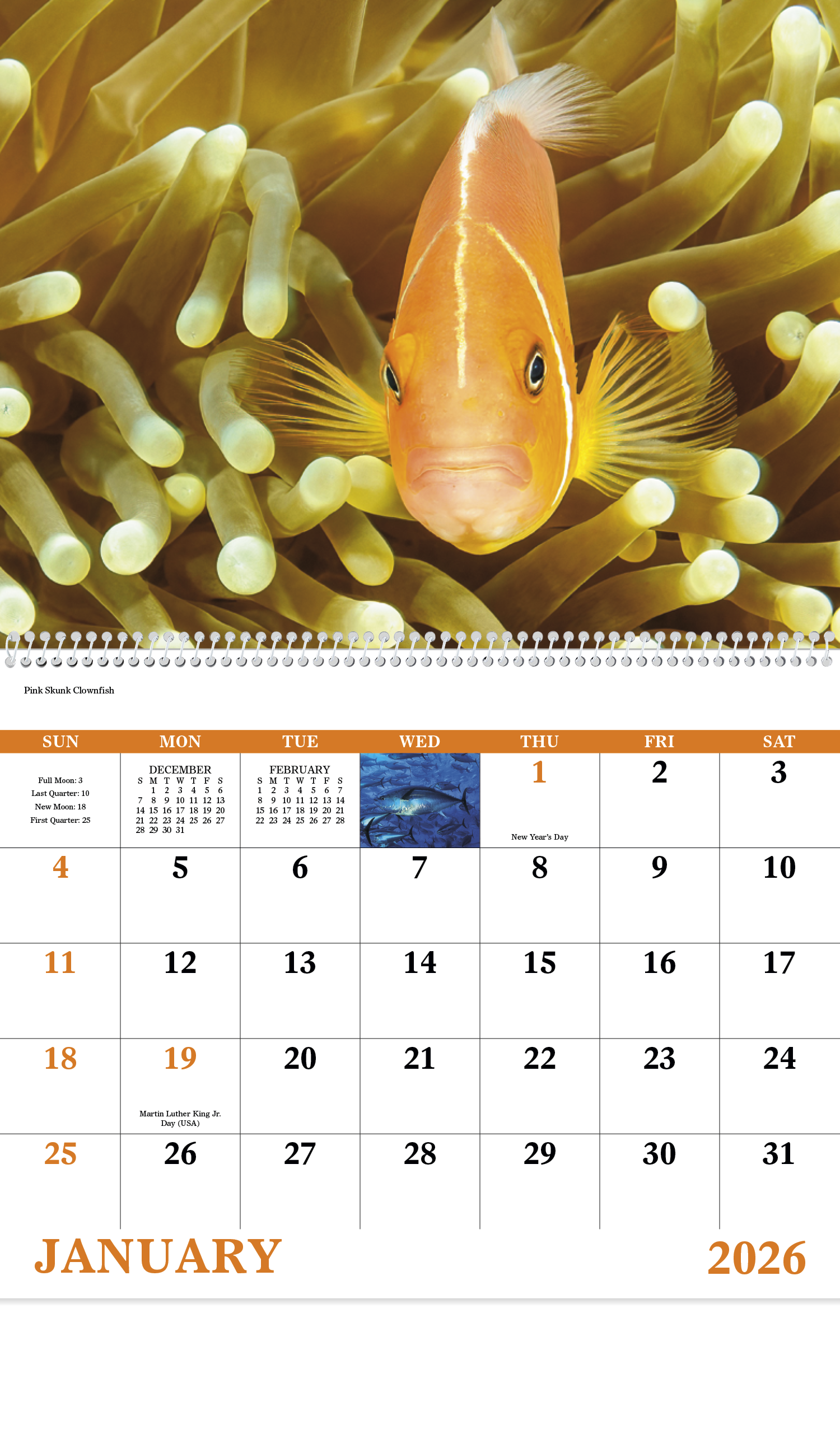 Good Value™ Ocean Glory - Spiral Calendar 51