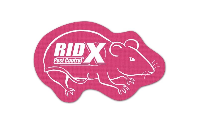 Rat/Mouse Vinyl Jar Opener 63