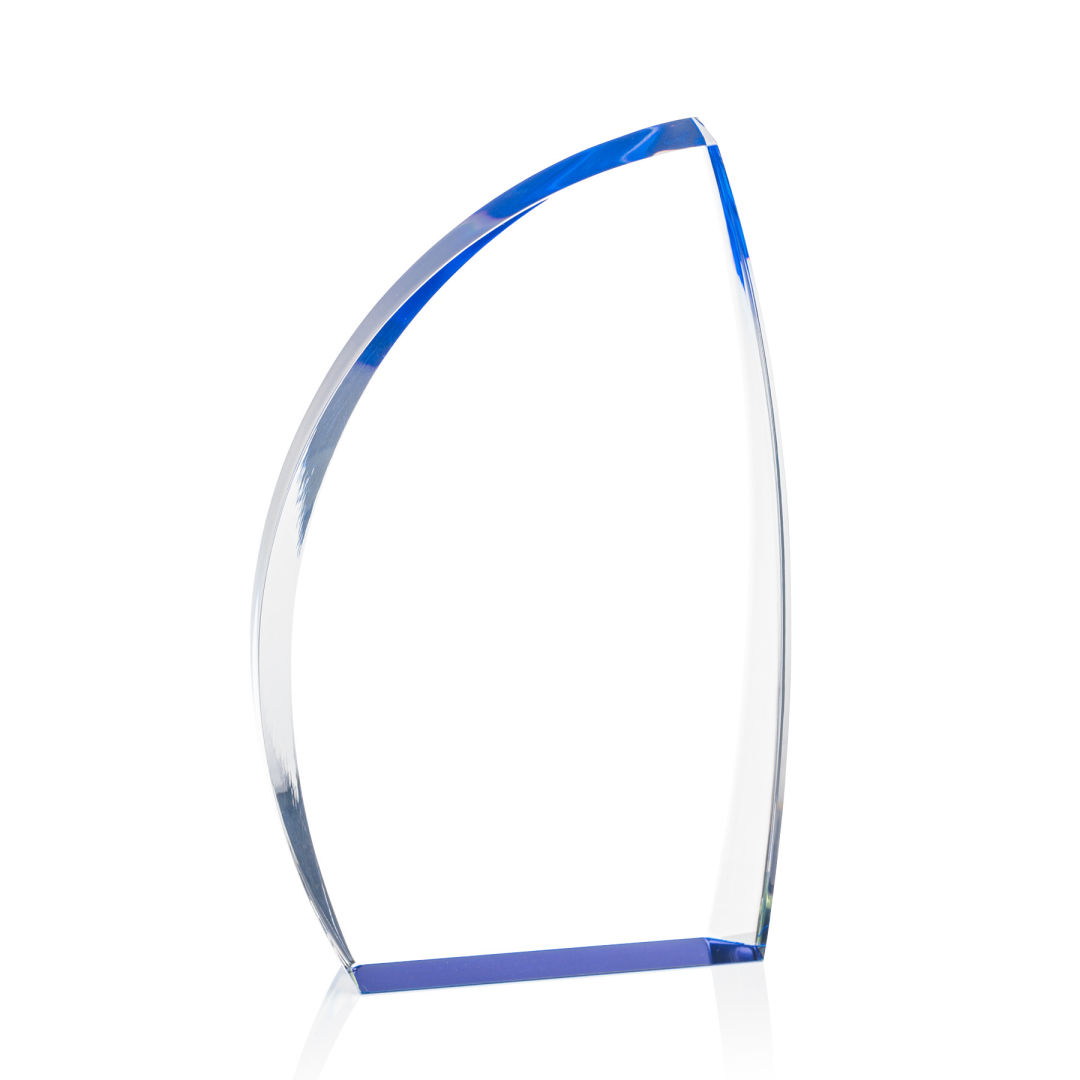 Duncan Award - Blue 3