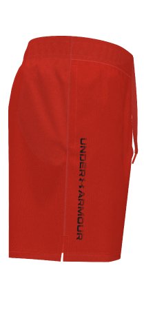 UA Tech Woven Wordmark Men's 8.25 Shorts 18