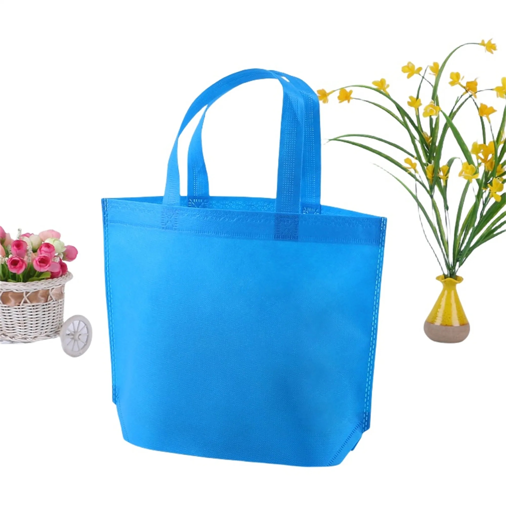 Reusable Grocery Bag 11