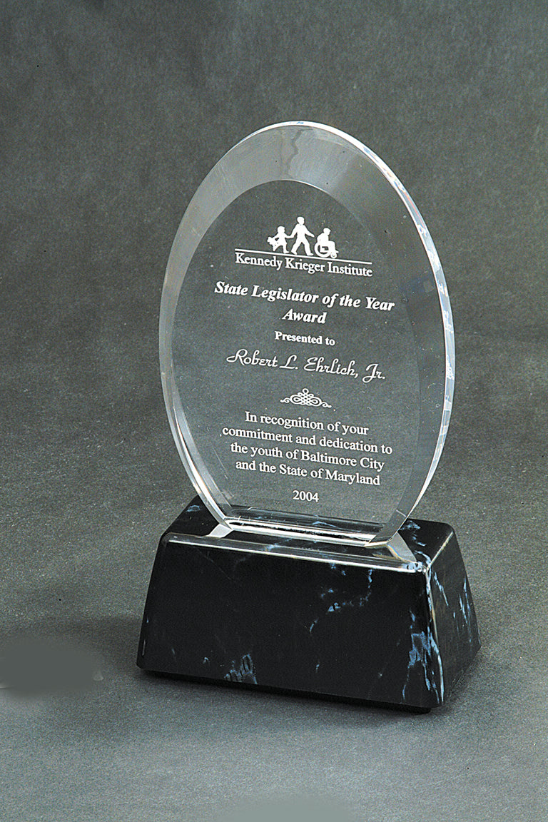 Acrylic Award 7