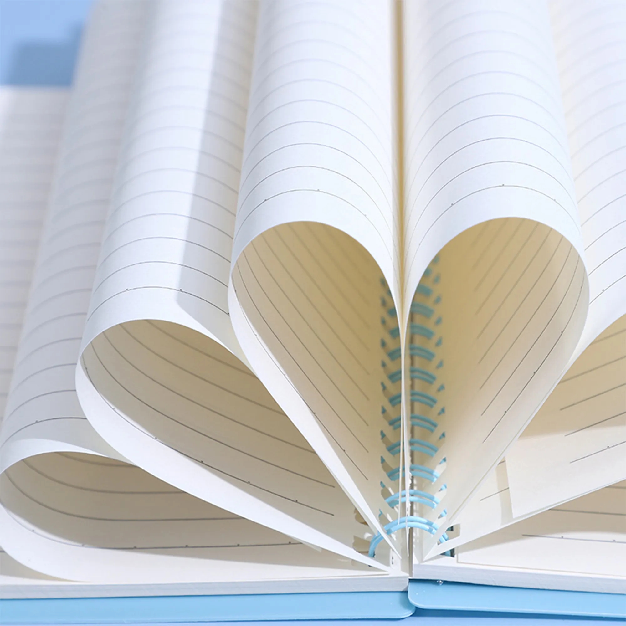 Morandi Color A5 Coil Book 3