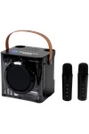 15W Karaoke Wireless Speaker with 2 Mics 8