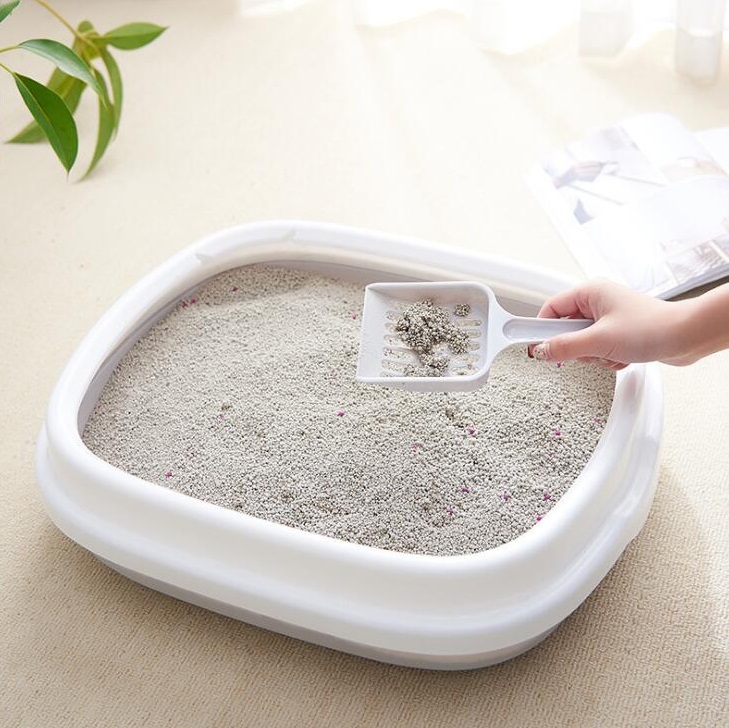 Box With Cat Litter Scoop 2