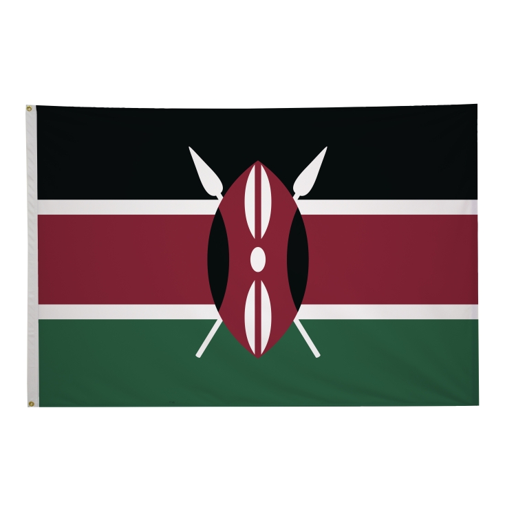 4' x 6' International Flags 247