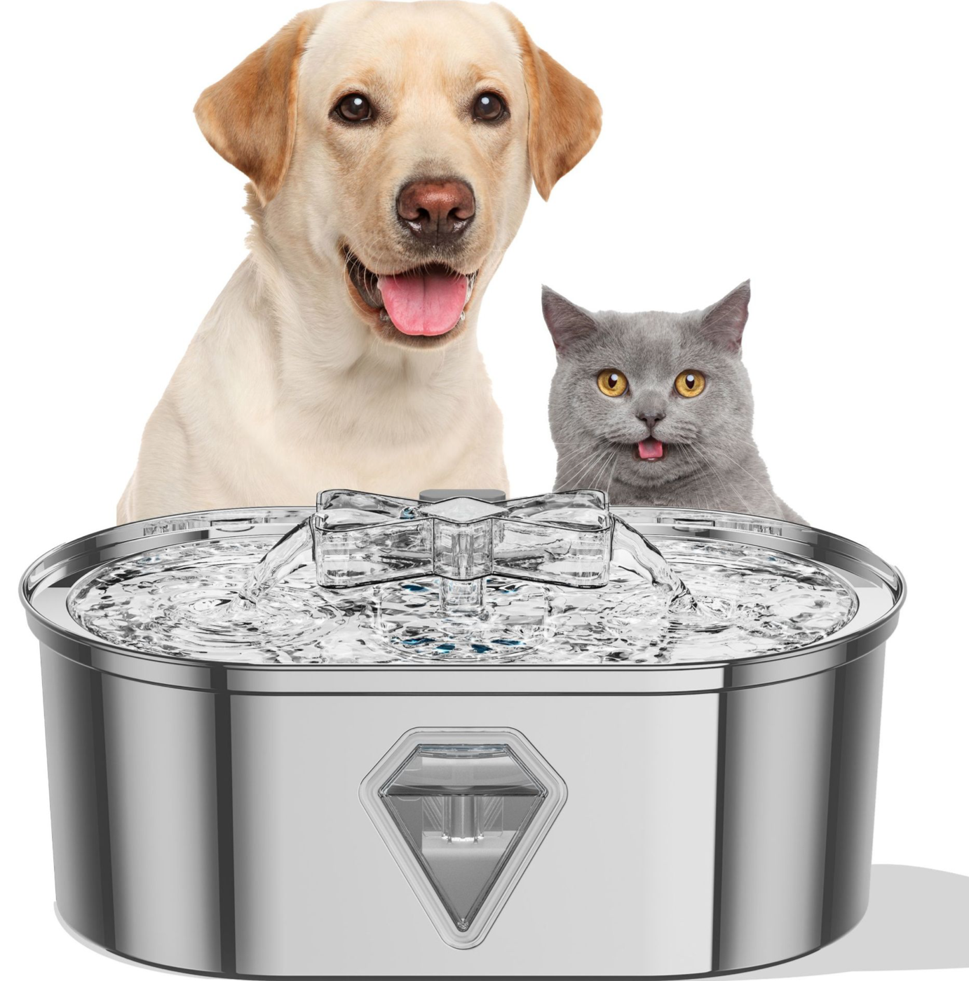 Cat Fountains 2
