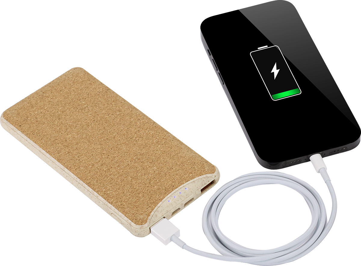 EarthTrendz™ 8,000 mAh Power Bank 23