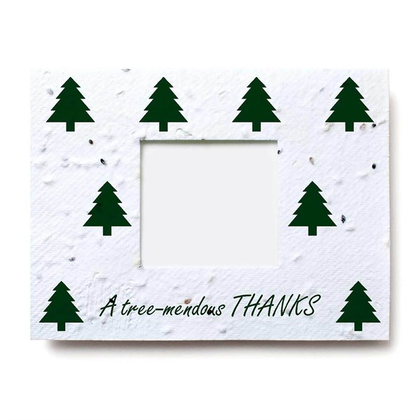 Window Gift Card Holder