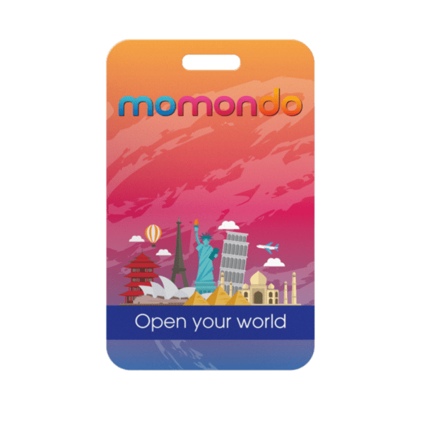 2 1/8" X 3 3/8" Plastic Identification Badge