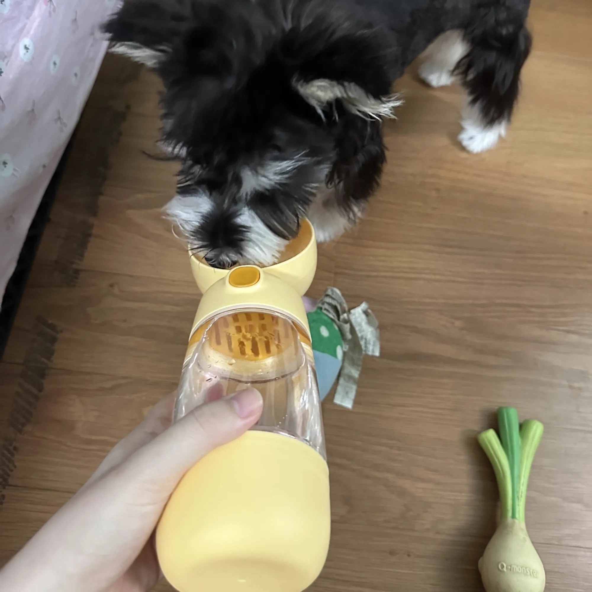 Pet outing cup multi-functional water feeder 5