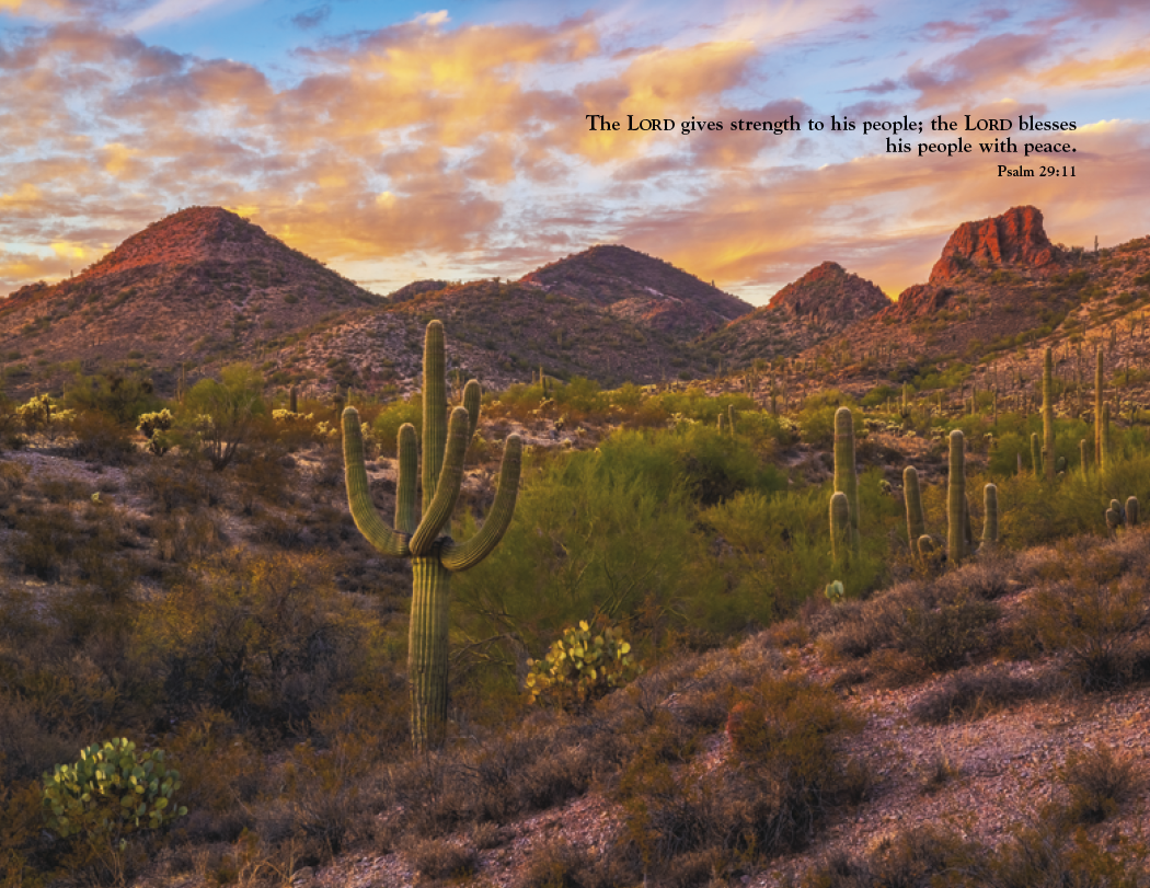 Triumph® Calendars World of Inspiration Calendar 18