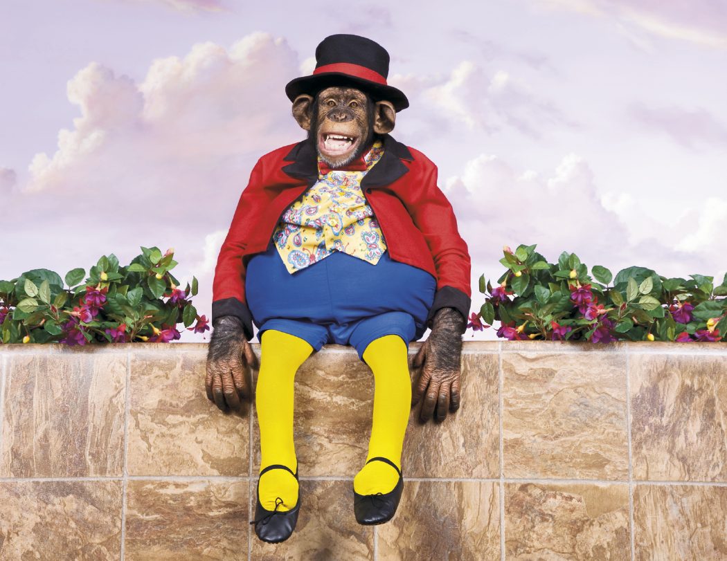 Triumph® Calendars Monkey Business Calendar 4