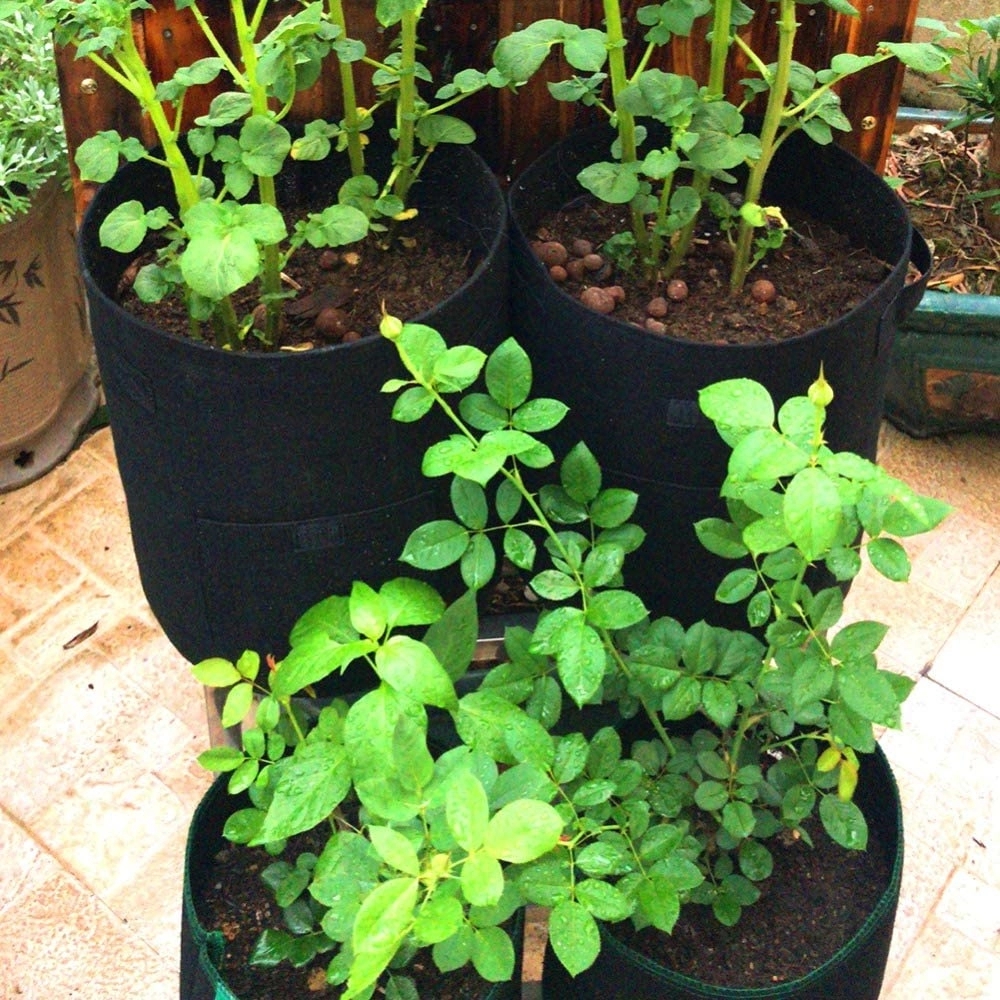 10 Gal. Multi-Functional Vegetable Grow Bag 11