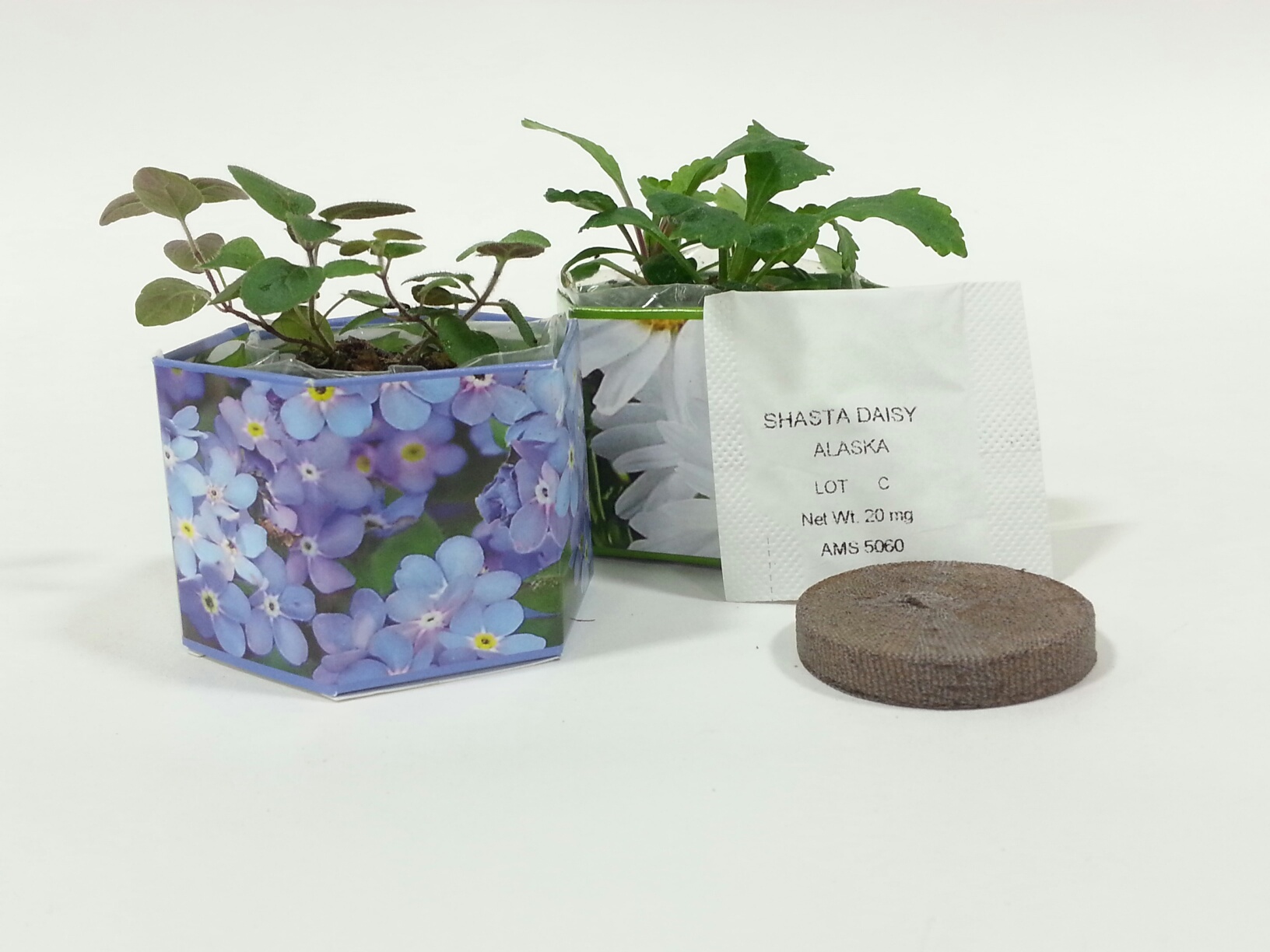 Forget Me Not SeedGems Paper Planter - Biodegradable grow kit 5